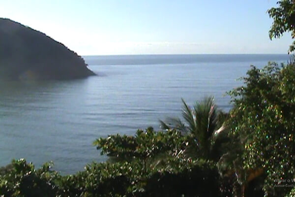 Foto da vista que se vê na casa da colina, na Barra do Sahy. Aparece parte das árvores da casa e depois, vê-se o mar aberto. Uma paisagem que estimula nosso desejo de viver. Usada para ilustrar o artigo "Viver ou apenas sobreviver, a mais importante das questões".