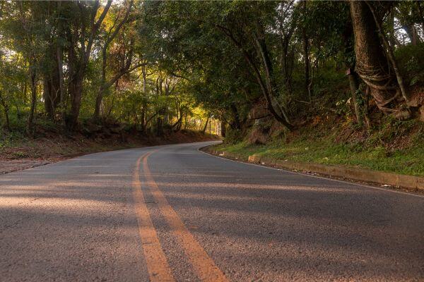 É uma foto de uma curva em uma estrada com duas pistas e ladeadas por árvores e arbustos usada para ilustrar as curvas que nosso destino pode fazer. E, neste artigo "O seu destino mudou de direção, dê um jeito nisso", ilustra bem a existência de uma força criada por Emoções Insuportáveis que vivenciamos e altera o destino que seguiríamos, sem ela.